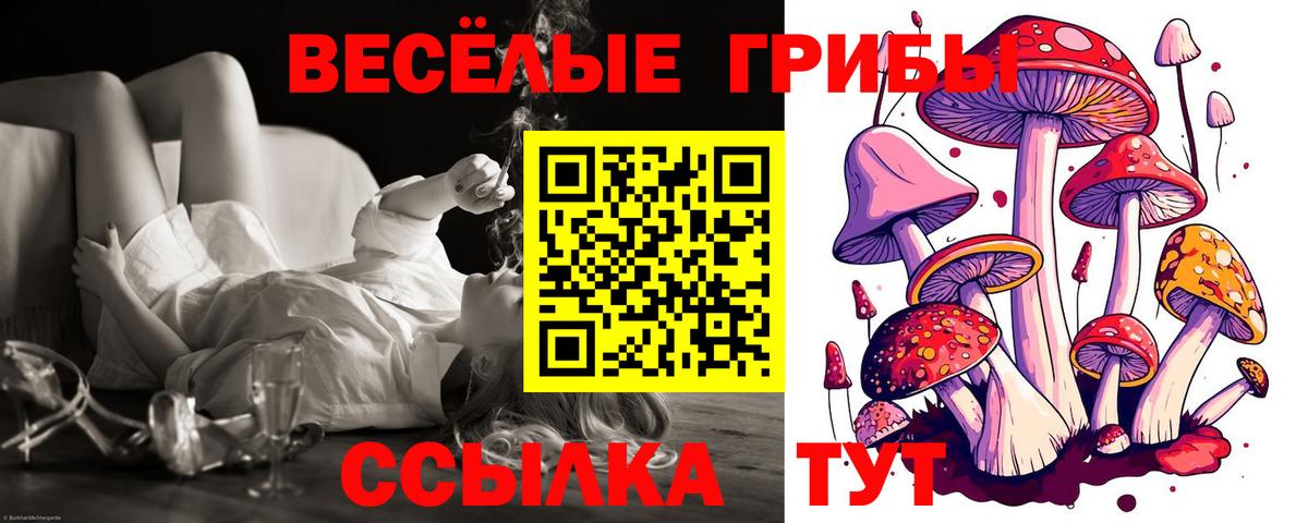 Ставрополь  Галлюциногенные грибы прущие грибы  Галлюциногенные грибы MAGIC MUSHROOMS  Вход с VPN 